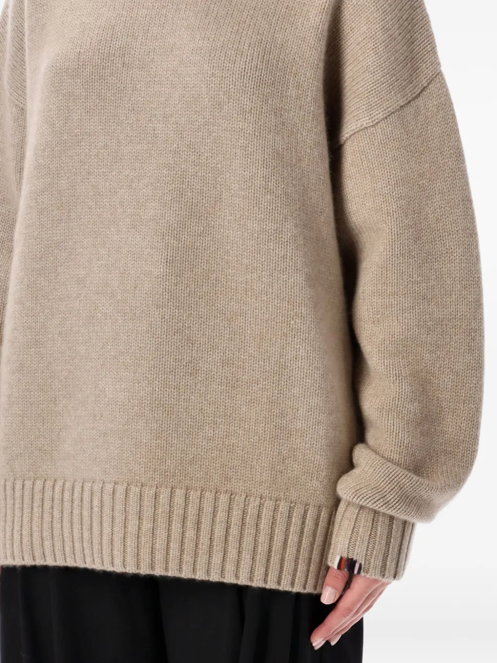 Extreme Cashmere Long-sleeve Crew-neck Sweater In Neutral