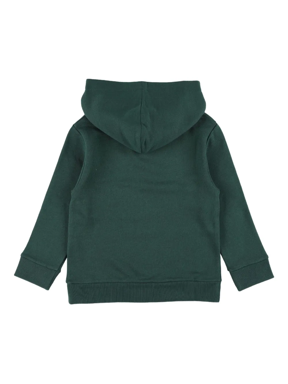 Gucci Kids Hoodie met dinosaurusprint en lange mouwen Groen