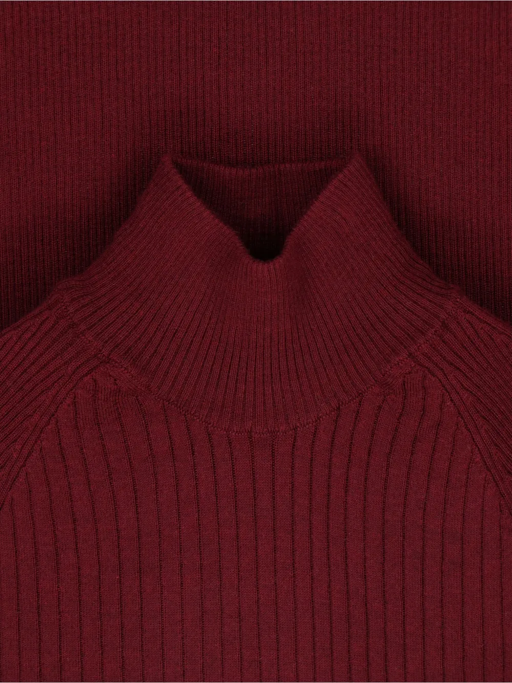 Sa Su Phi Ribbed Cashmere-silk Sweater With High Neckline And Fitted Silhouette In Burgundy