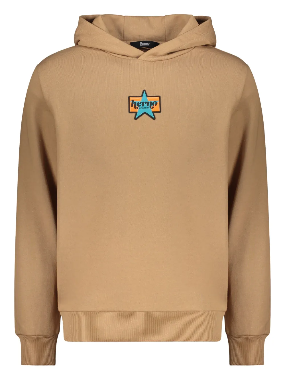 Herno Hooded Sweatshirt In Brown