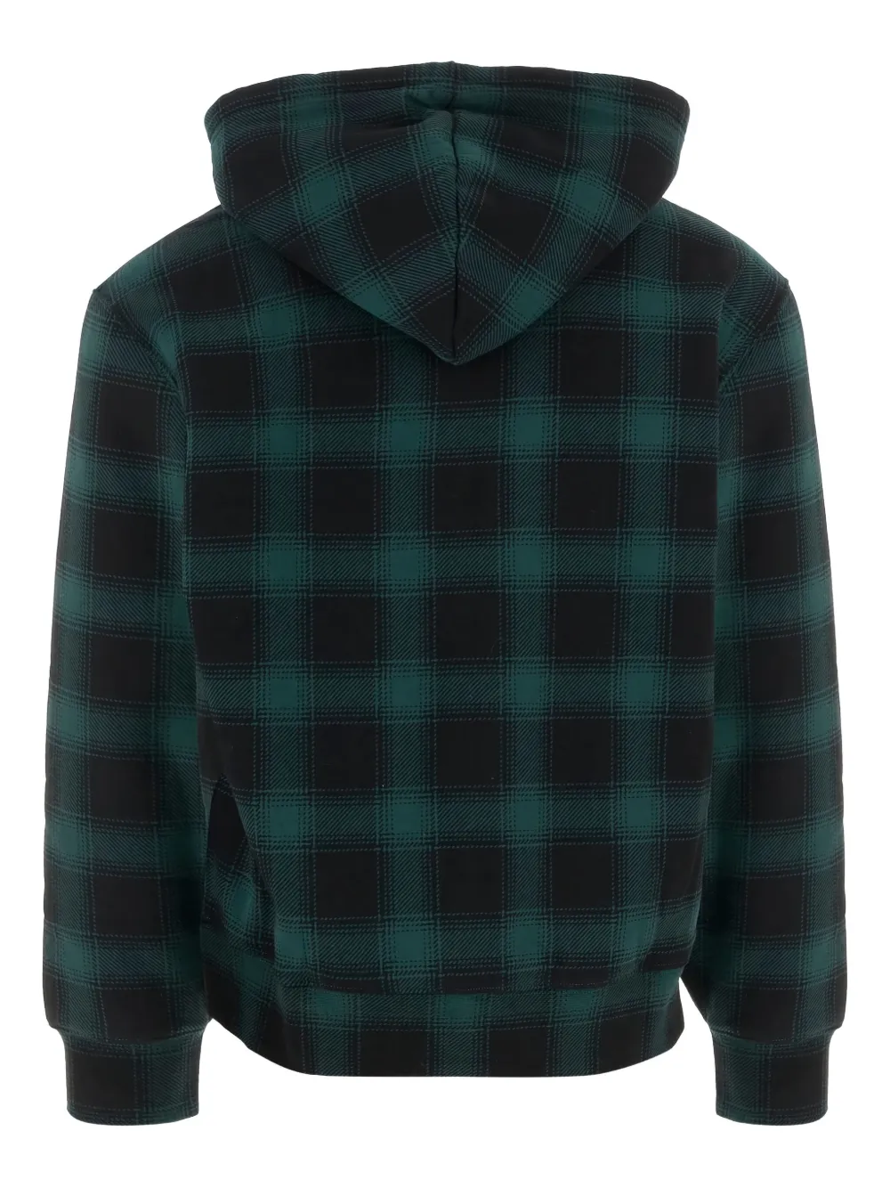 Polo Ralph Lauren Geruite hoodie met rits Groen