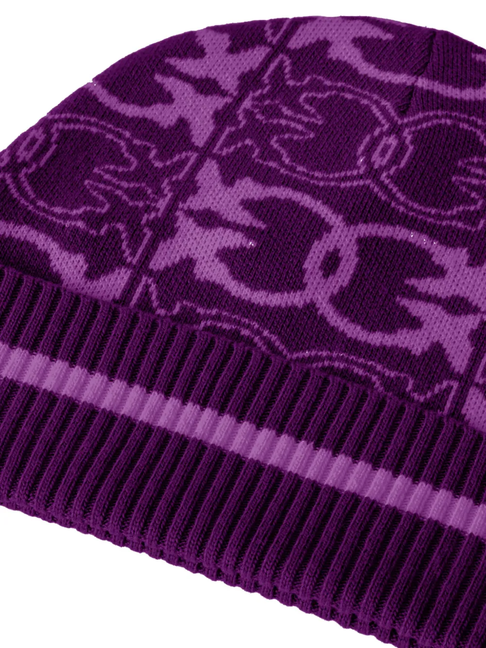Pinko Patterned Ribbed Beanie In Purple