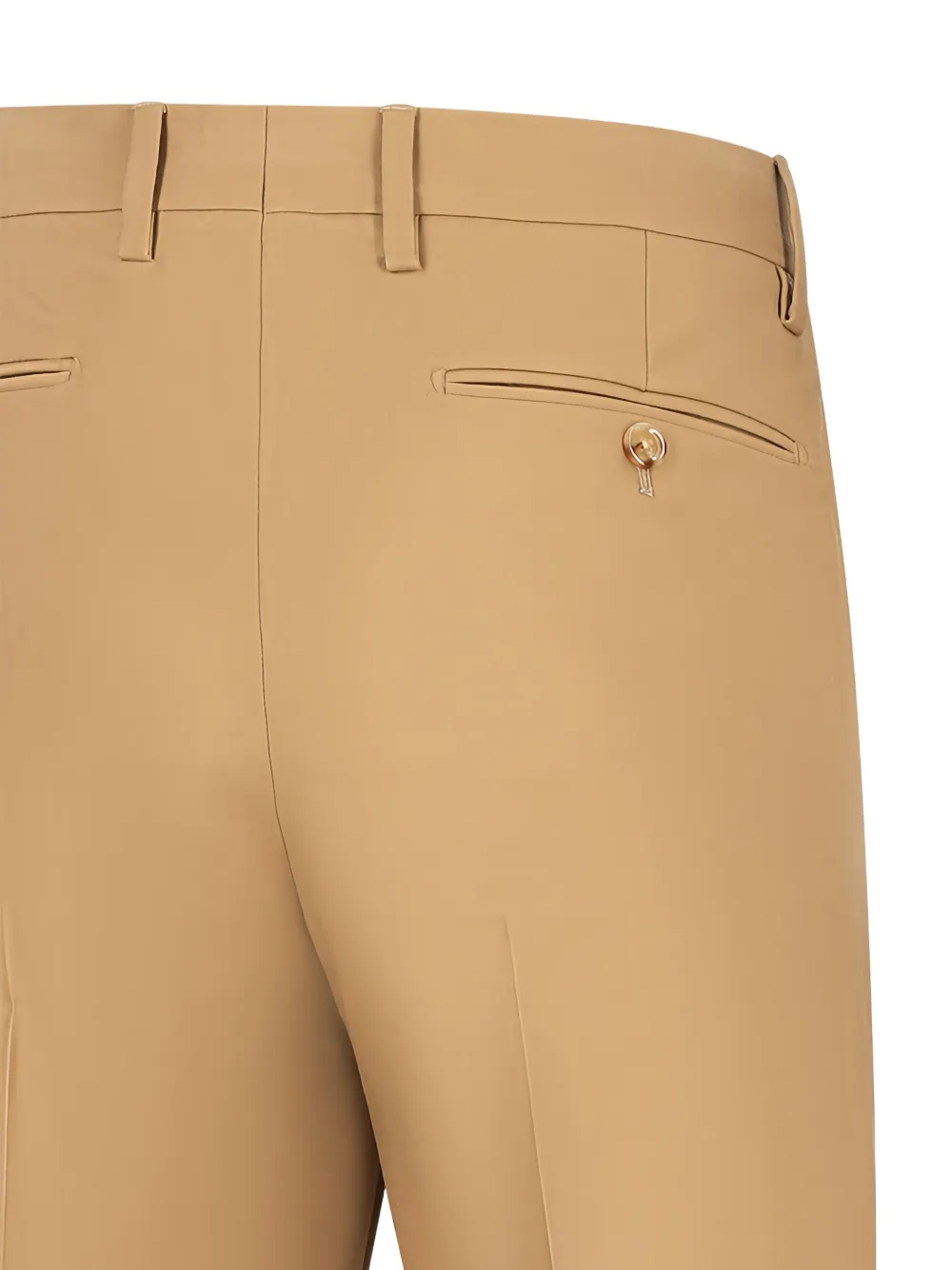 Lardini Pleated Trousers In Neutral