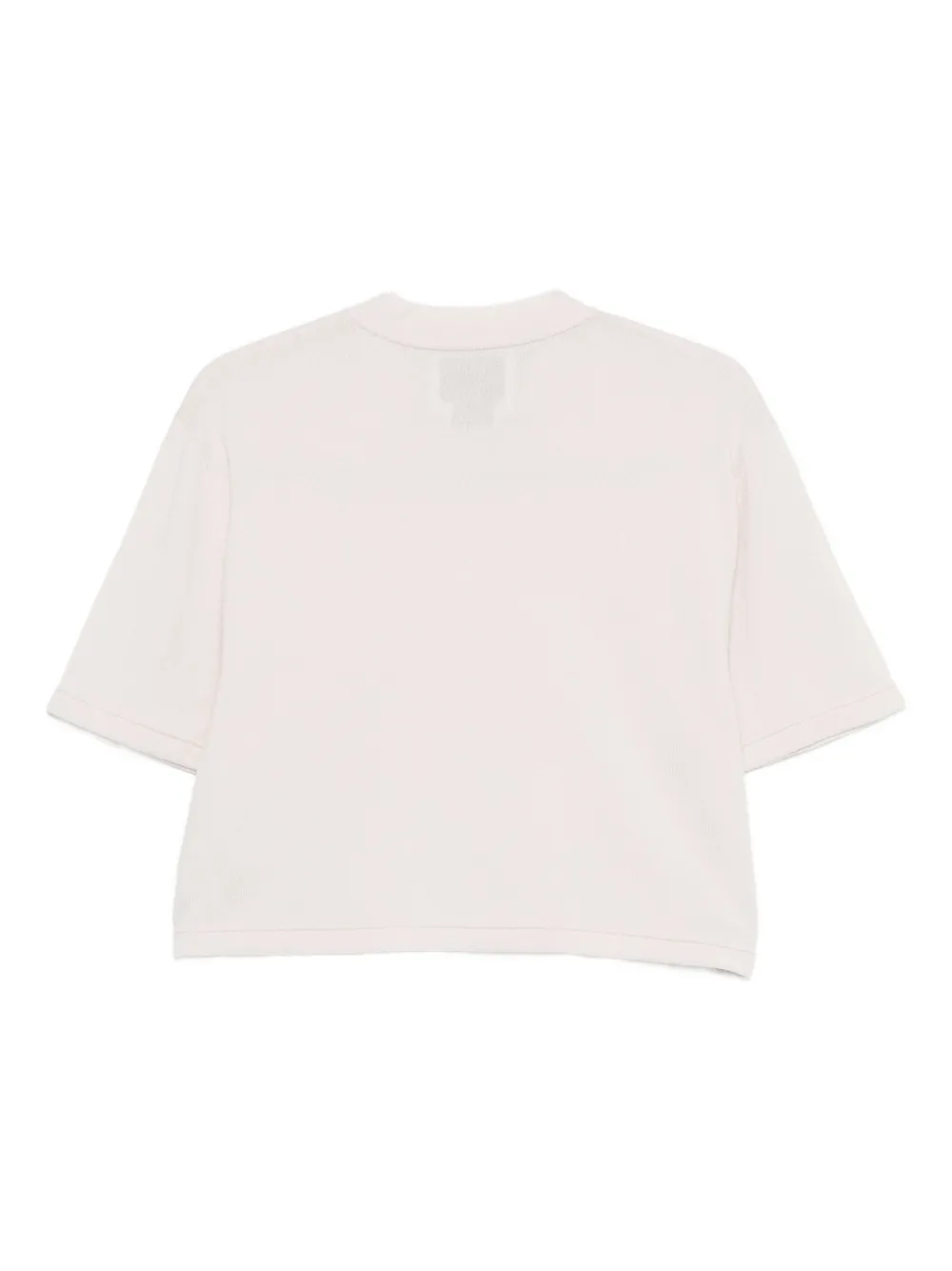Sa Su Phi Cashmere T-shirt In Neutral