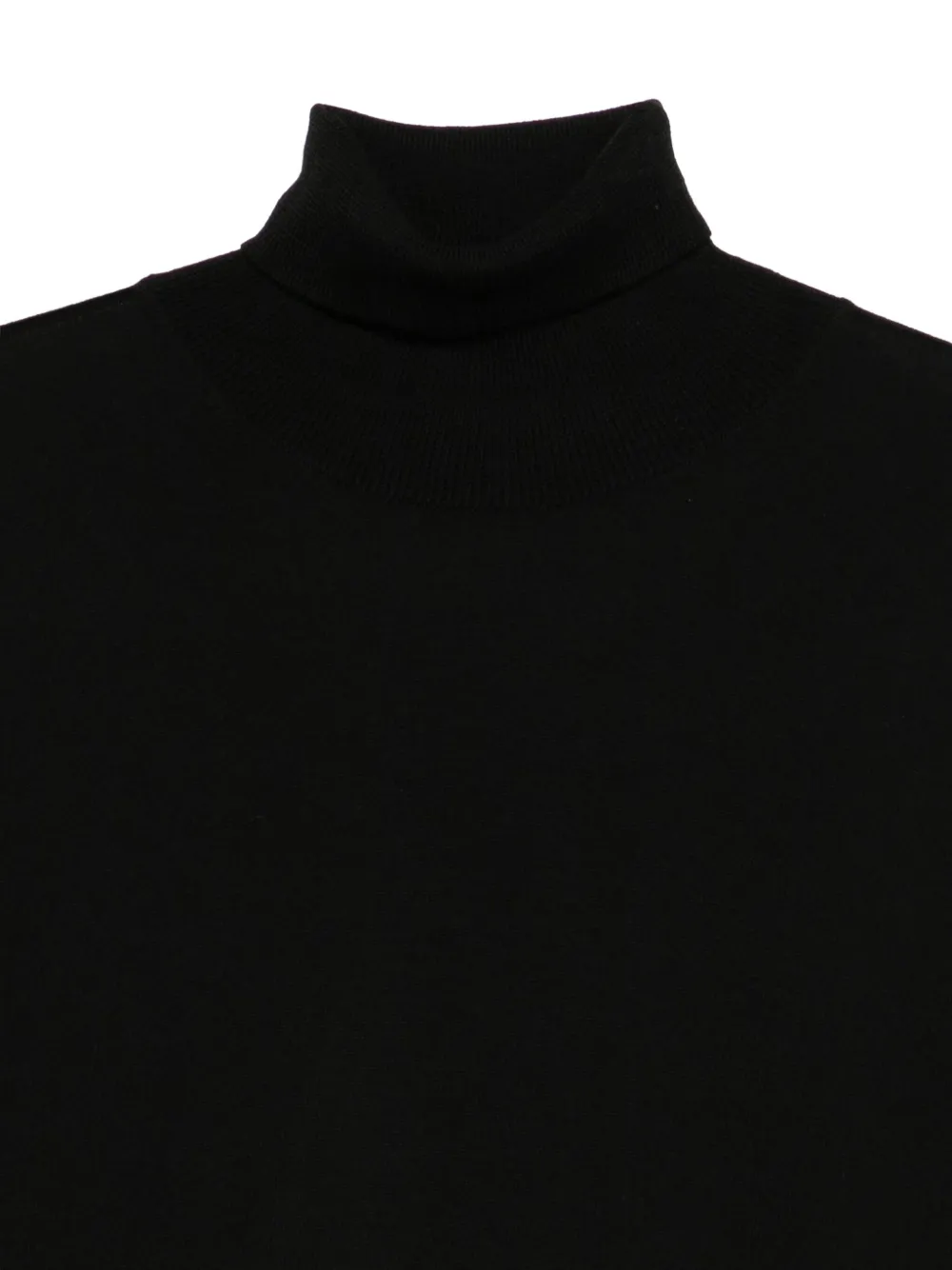 Daniele Fiesoli Roll-neck Sweater In Black