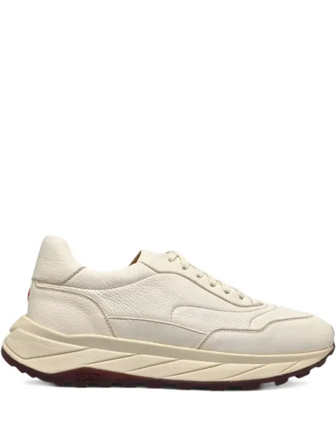 Henderson Baracco Sharks sneakers