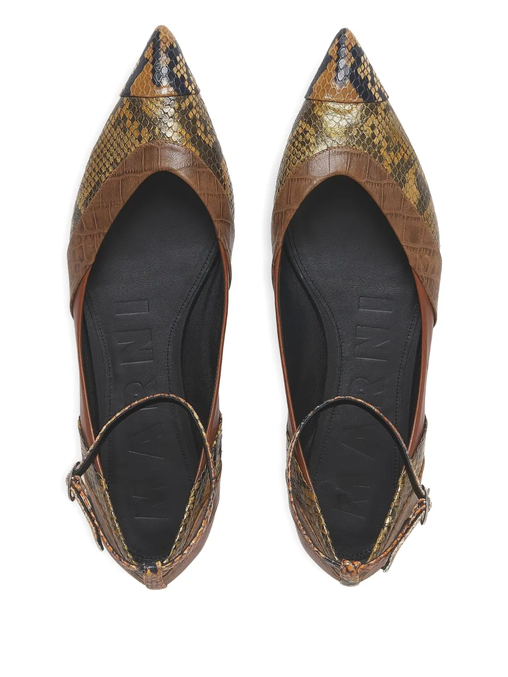 Marni Ankle-strap Pointed-toe Flats In Brown