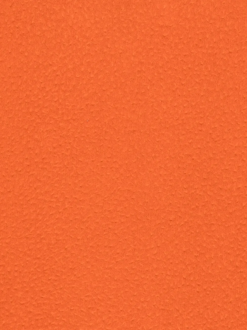 Roberto Collina Casentino trui Oranje