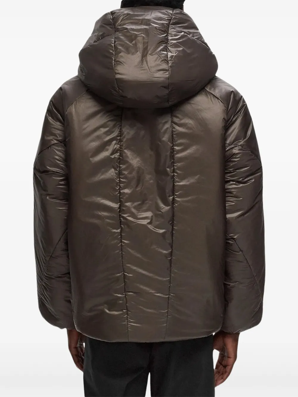 Goldwin Cloud Helicoid Parka In Brown
