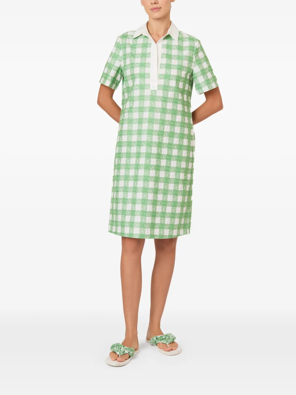 Rosie Assoulin Mini-surk met borduurwerk en gingham-ruit Groen