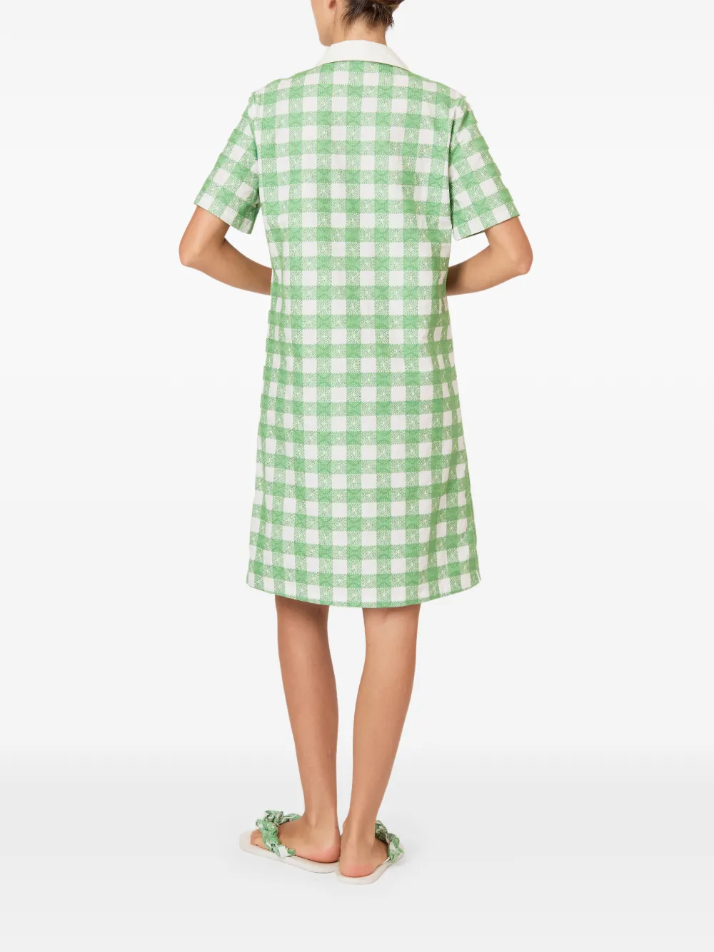 Rosie Assoulin Mini-surk met borduurwerk en gingham-ruit Groen