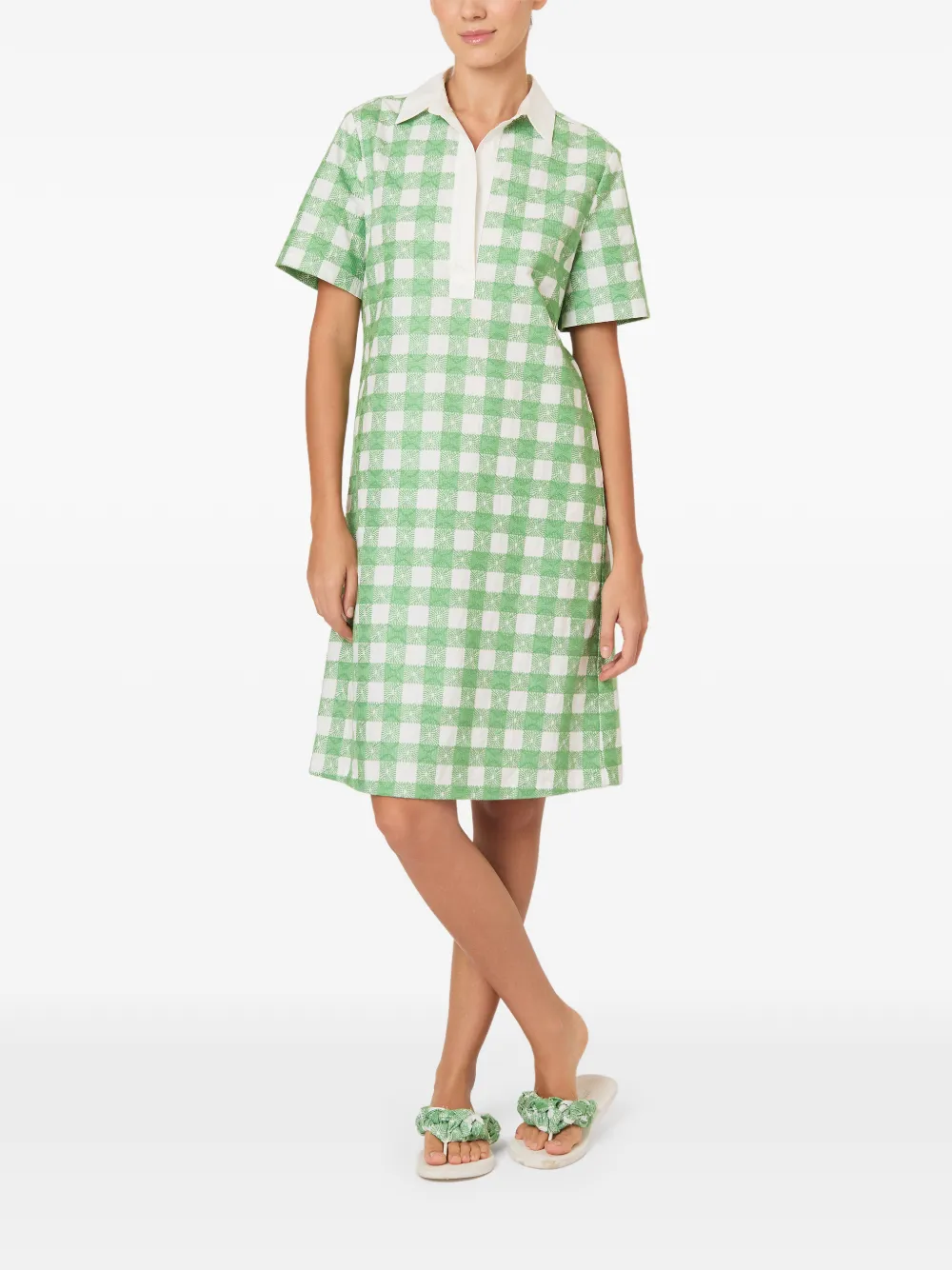 Rosie Assoulin Mini-surk met borduurwerk en gingham-ruit Groen