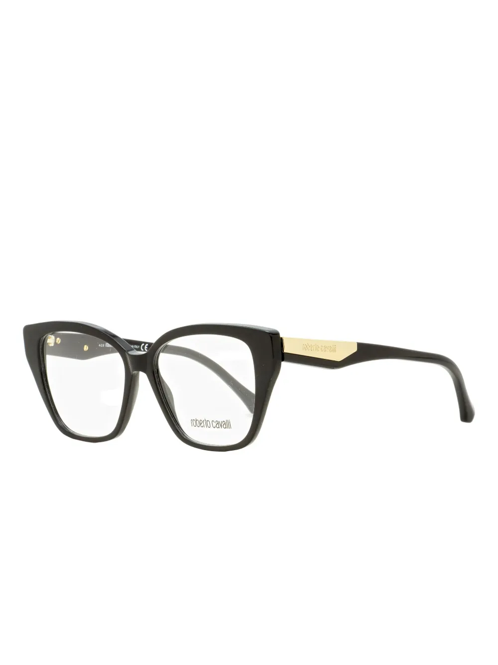 Roberto Cavalli Orciano Glasses In Black
