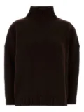 Weekend Max Mara Borgia turtleneck wool sweater - Brown