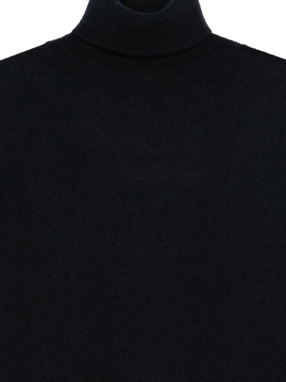 Roberto Collina Coltrui Blauw