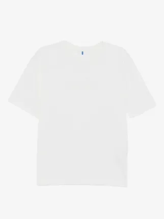 Ader Error