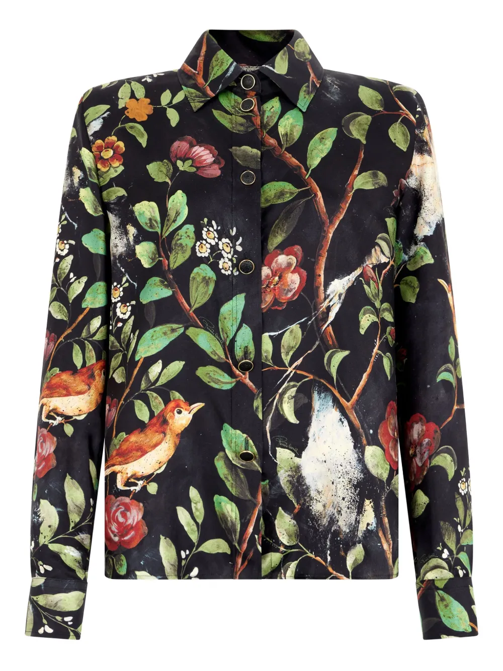Roberto Cavalli shrub floral-print shirt - Black