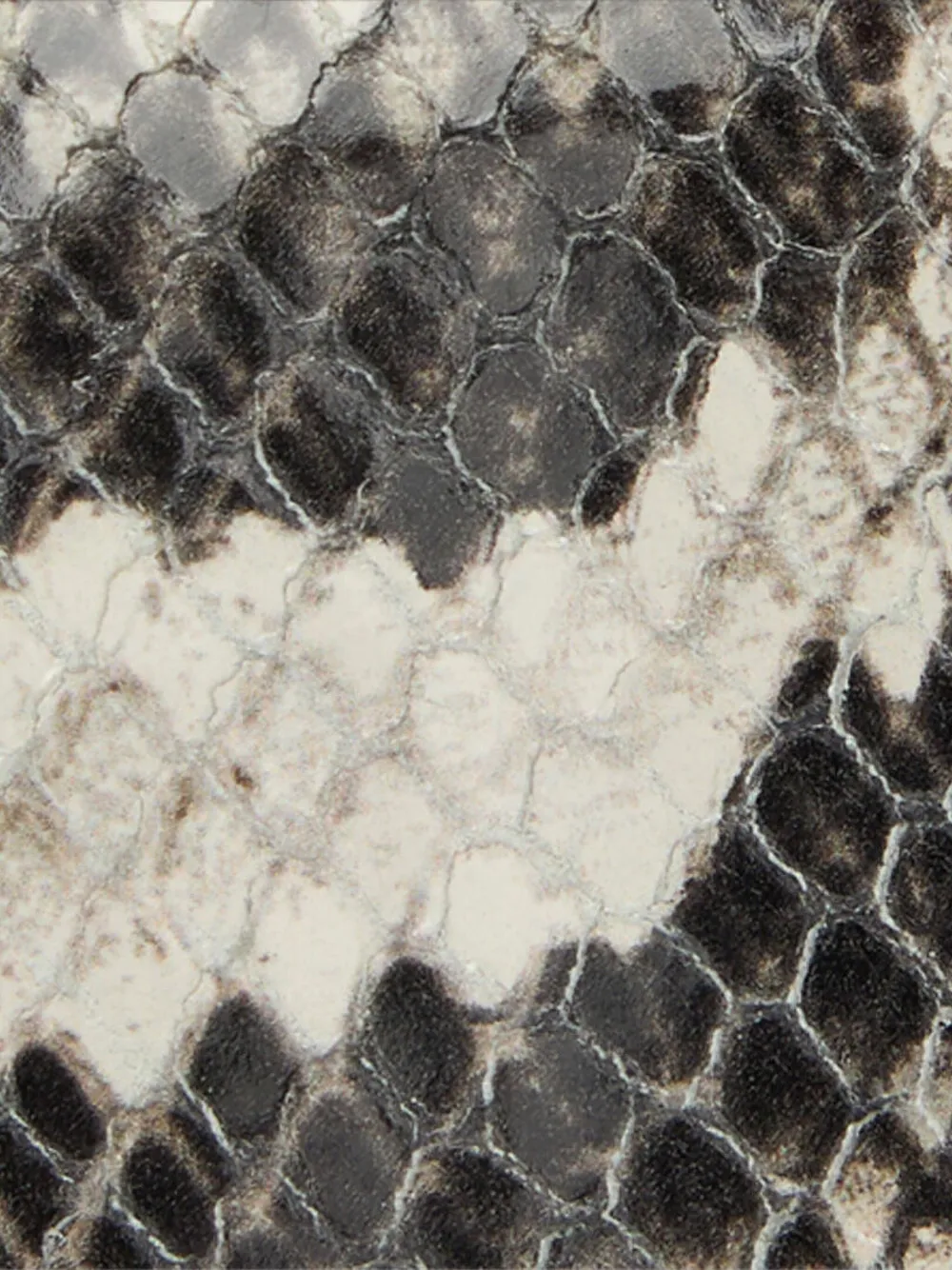 Roberto Cavalli Pumps met pythonprint Grijs