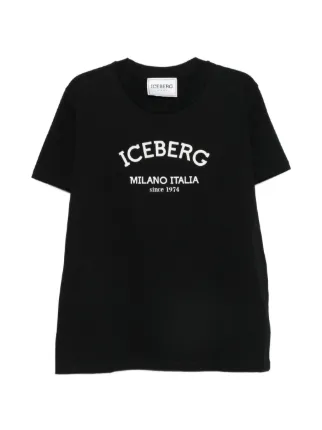 Iceberg