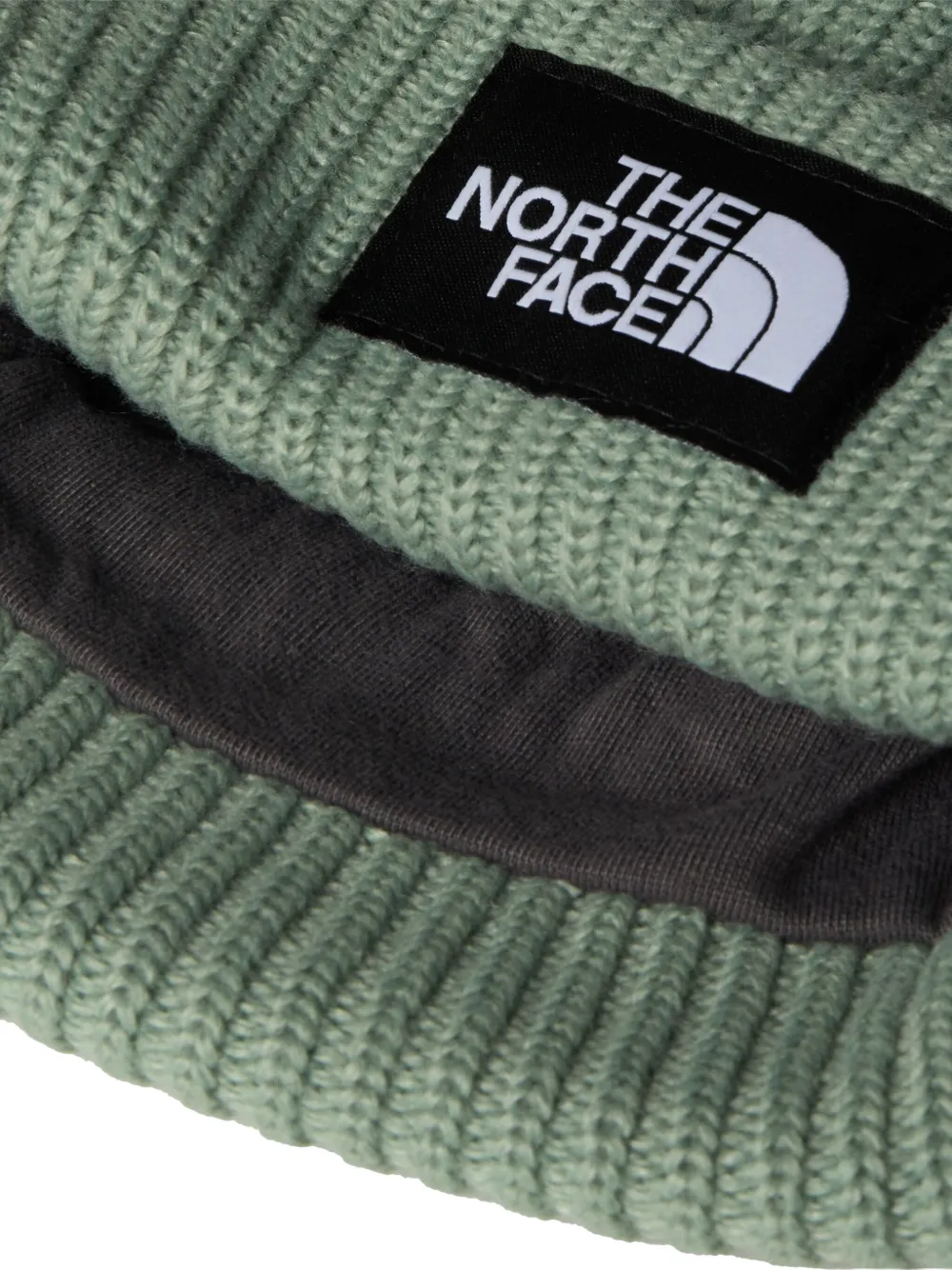 The North Face Ribbed Logo Patch Hat In Green