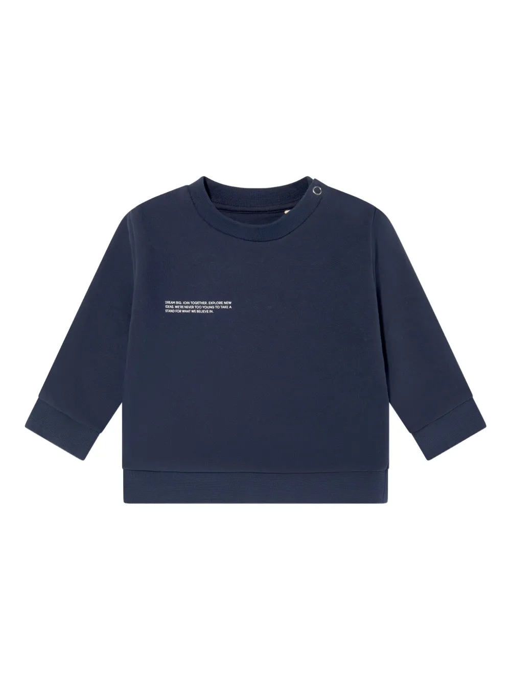Pangaia Babies' Organic Cotton Sweater In Blue