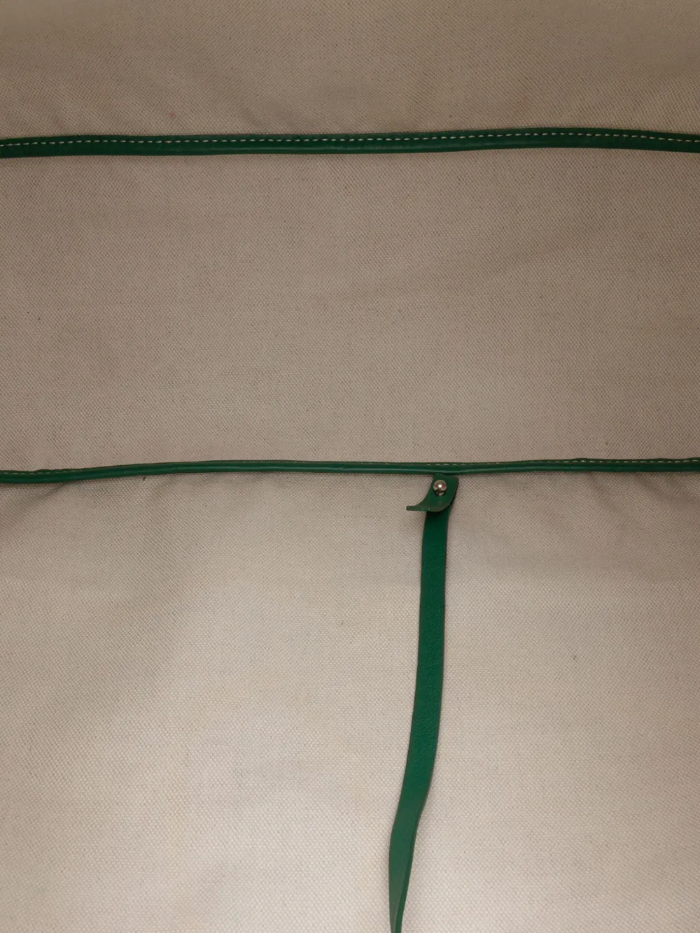Pre-owned Goyard 2017 Ine Saint Louis Pm Tote Bag In Green