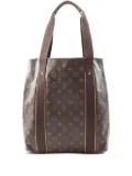 Louis Vuitton Pre-Owned Hippopotamus shoulder bag - Brown