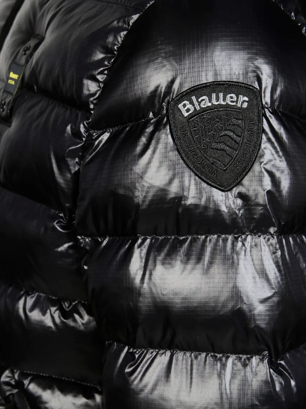 Blauer Quilted Ripstop Nylon Jacket In Black