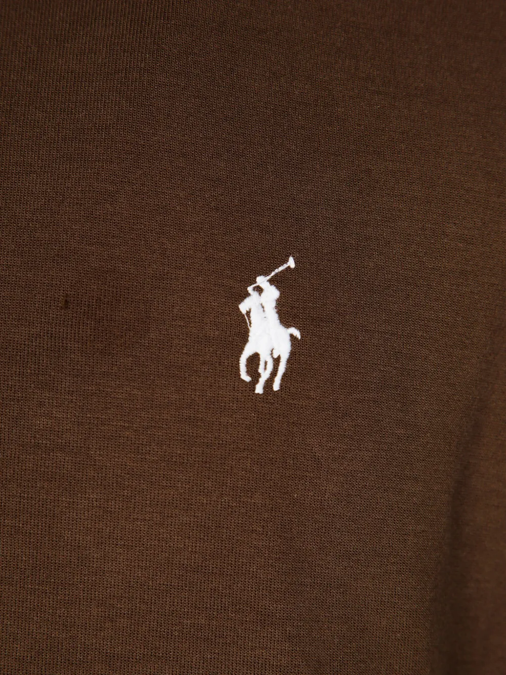 Polo Ralph Lauren Hoodie met trekkoord Bruin
