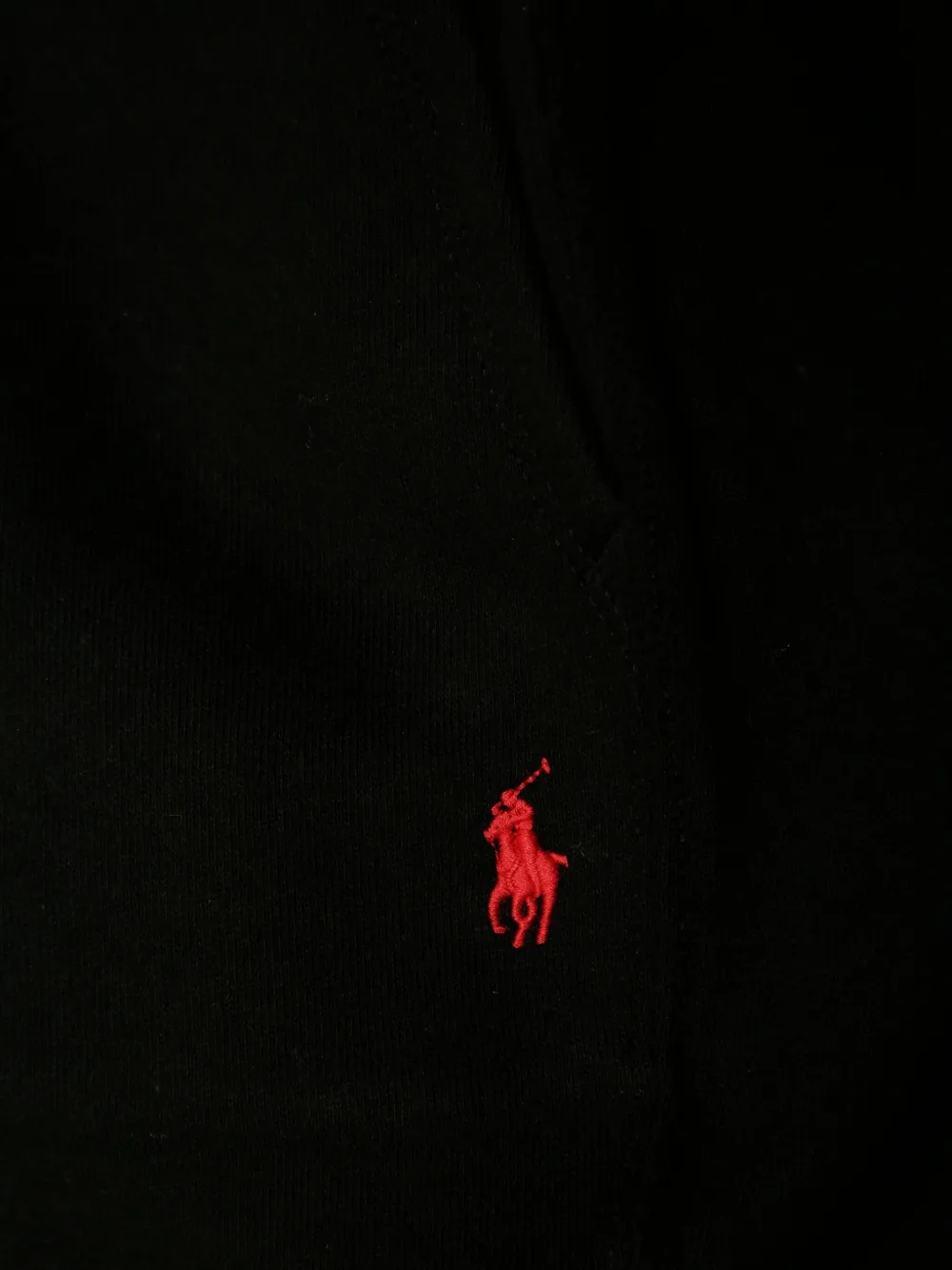 POLO RALPH LAUREN KIDS Trainingsbroek met logo Zwart