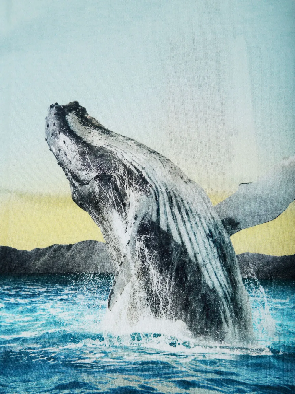 Molo T-shirt met print Blauw