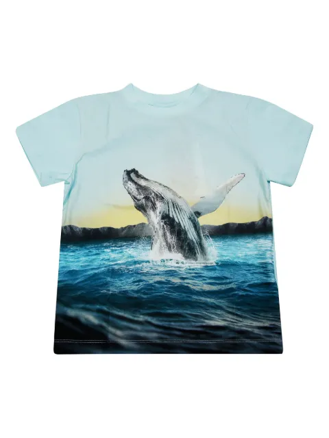 Molo whale-print T-shirt
