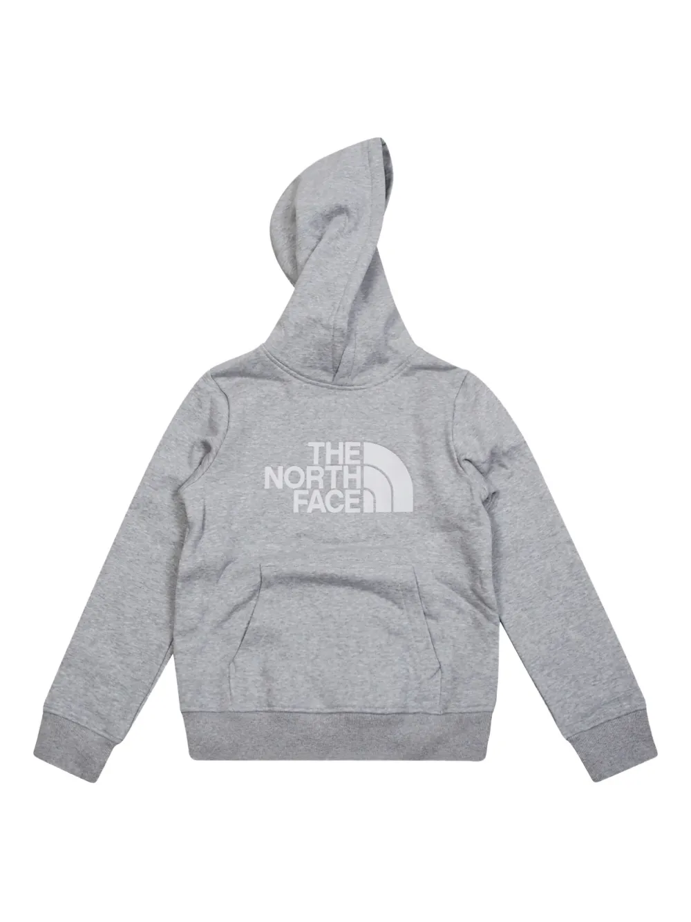 The North Face Kids Drew Peak hoodie | Grey | Image 1