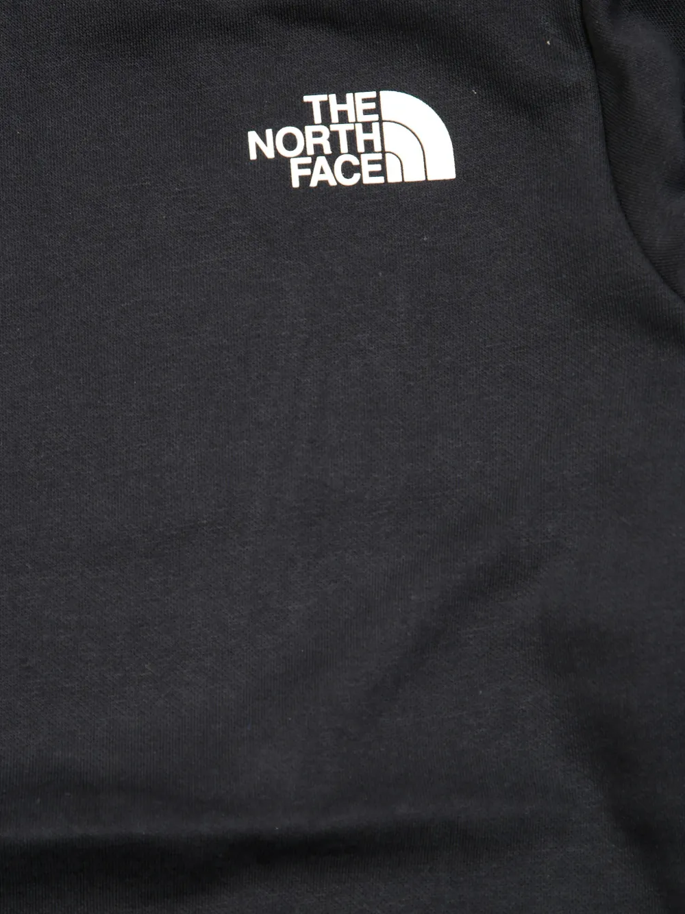 The North Face Simple Dome Sweatshirt In Black