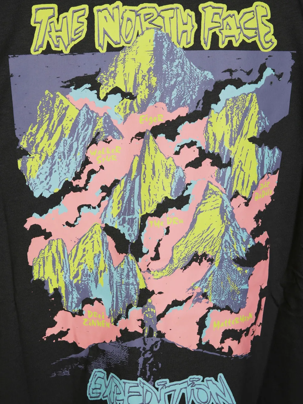 The North Face Graphic-print T-shirt In Black