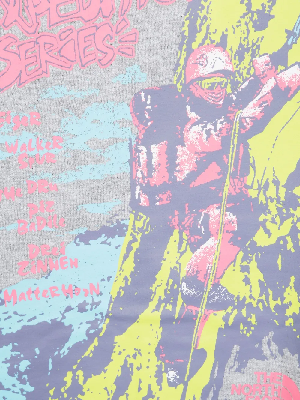 The North Face Expedition Celebration hoodie Grijs