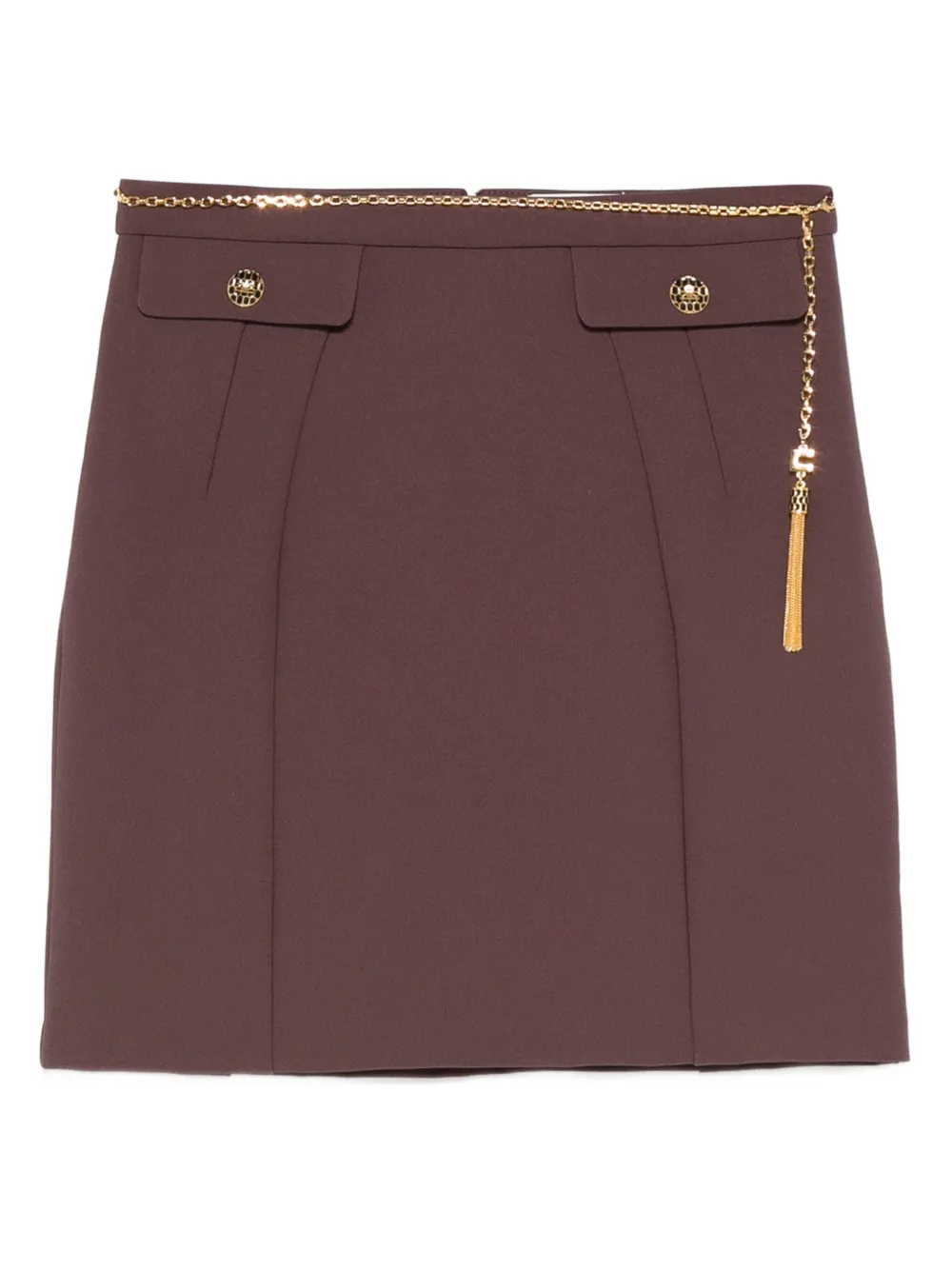 Elisabetta Franchi high-waisted fitted skirt | Brown | Image 1