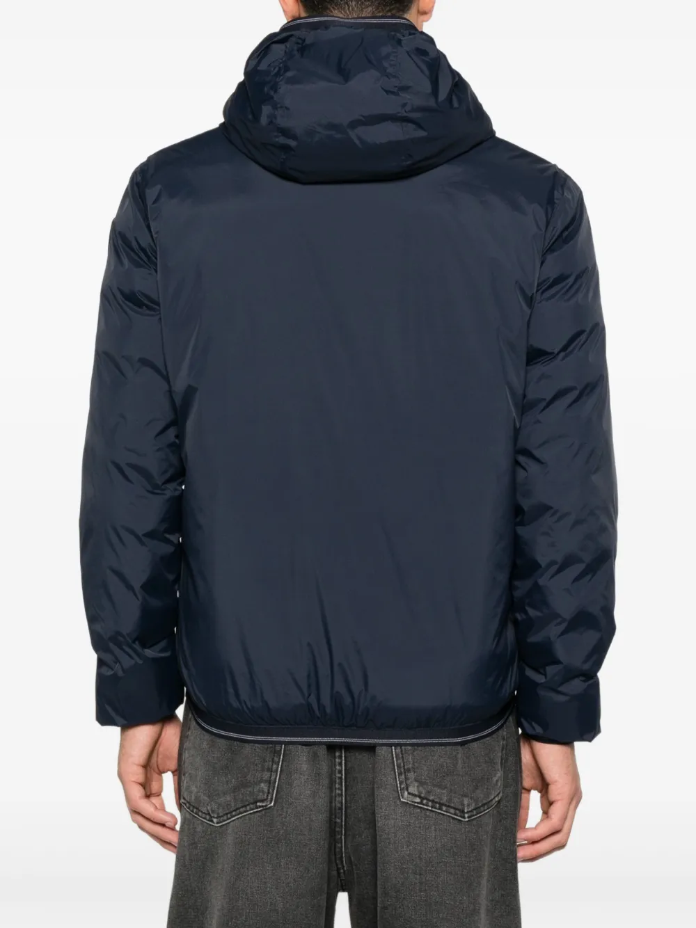 Blauer Donald jack Blauw