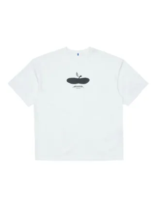 Ader Error