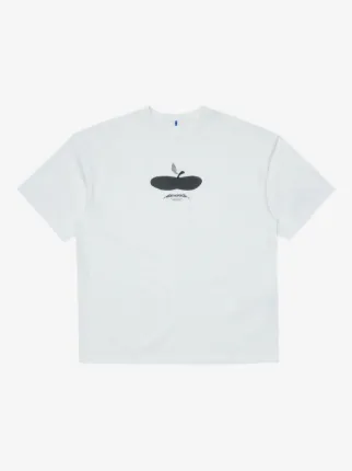 Ader Error