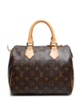 Louis Vuitton Pre-Owned 2009 Speedy 25 Monogram tote bag - Brown