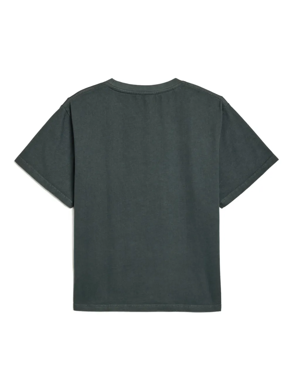 Glass Cypress embroidered 1995 T-shirt - Grijs