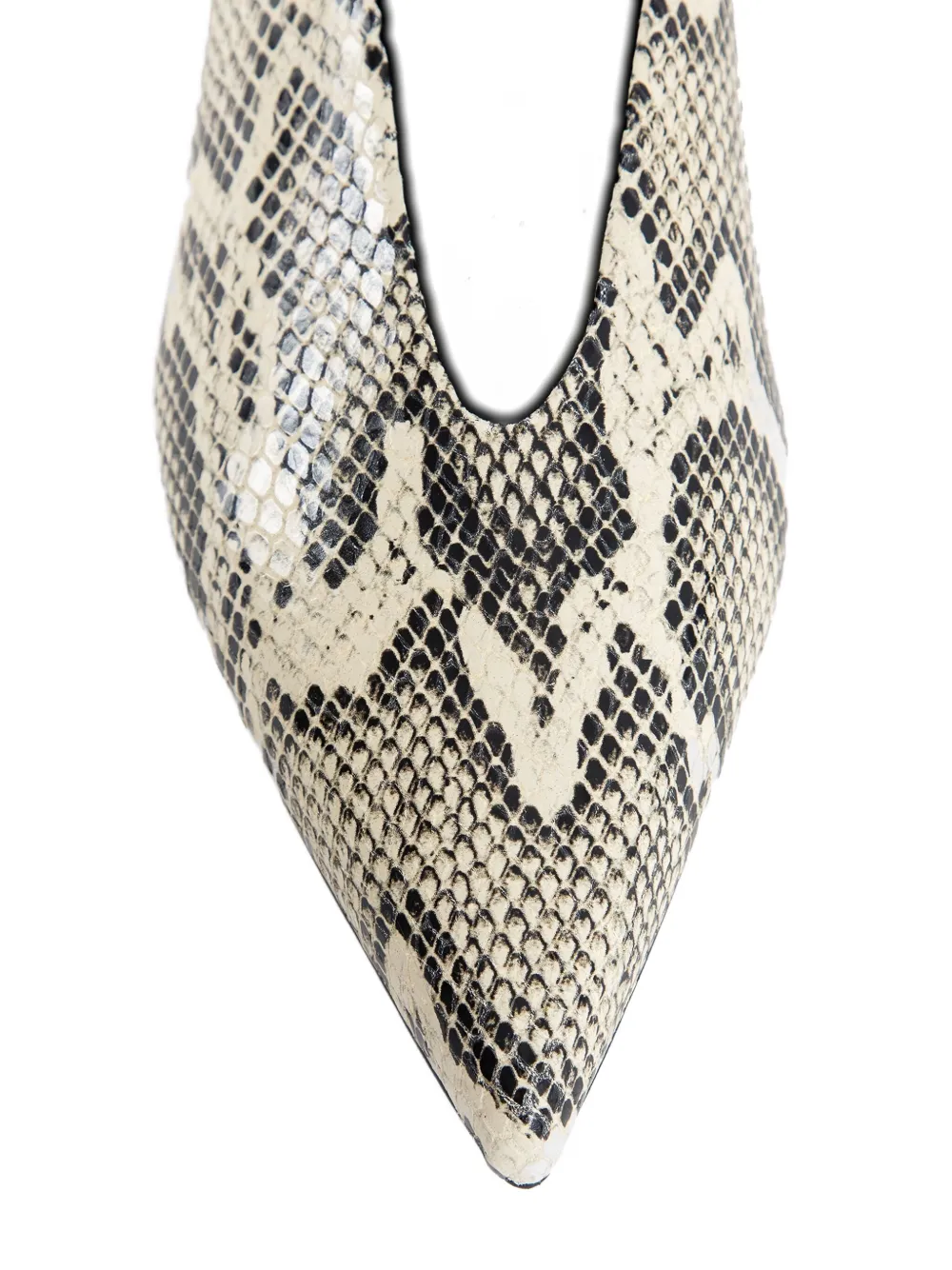 Aeyde Pointed Clara Pumps In Multi