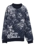 Louis Vuitton Pre-Owned 2010s Tapestry Monogram sweatshirt - Blue