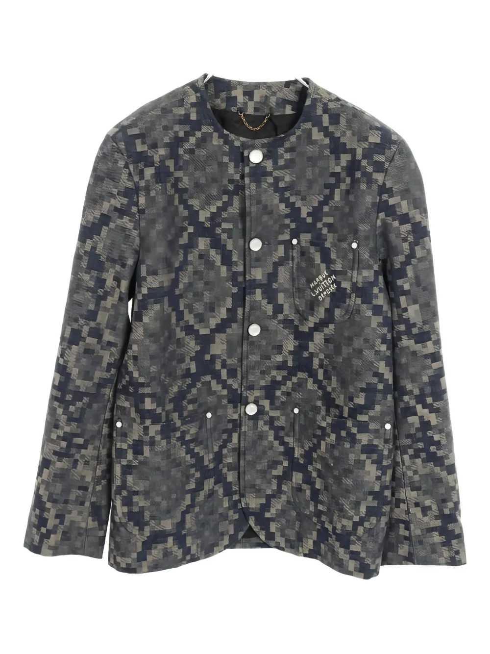 Louis Vuitton Pre-Owned 2010s python-pattern jacket - Blu