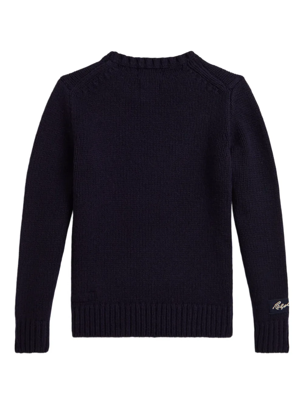 POLO RALPH LAUREN KIDS Sweater met ronde hals en lange mouwen Blauw