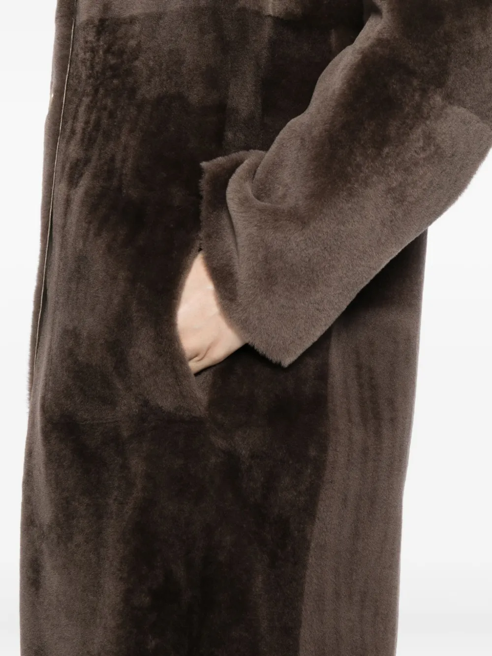 JOSEPH Brittany jas Bruin