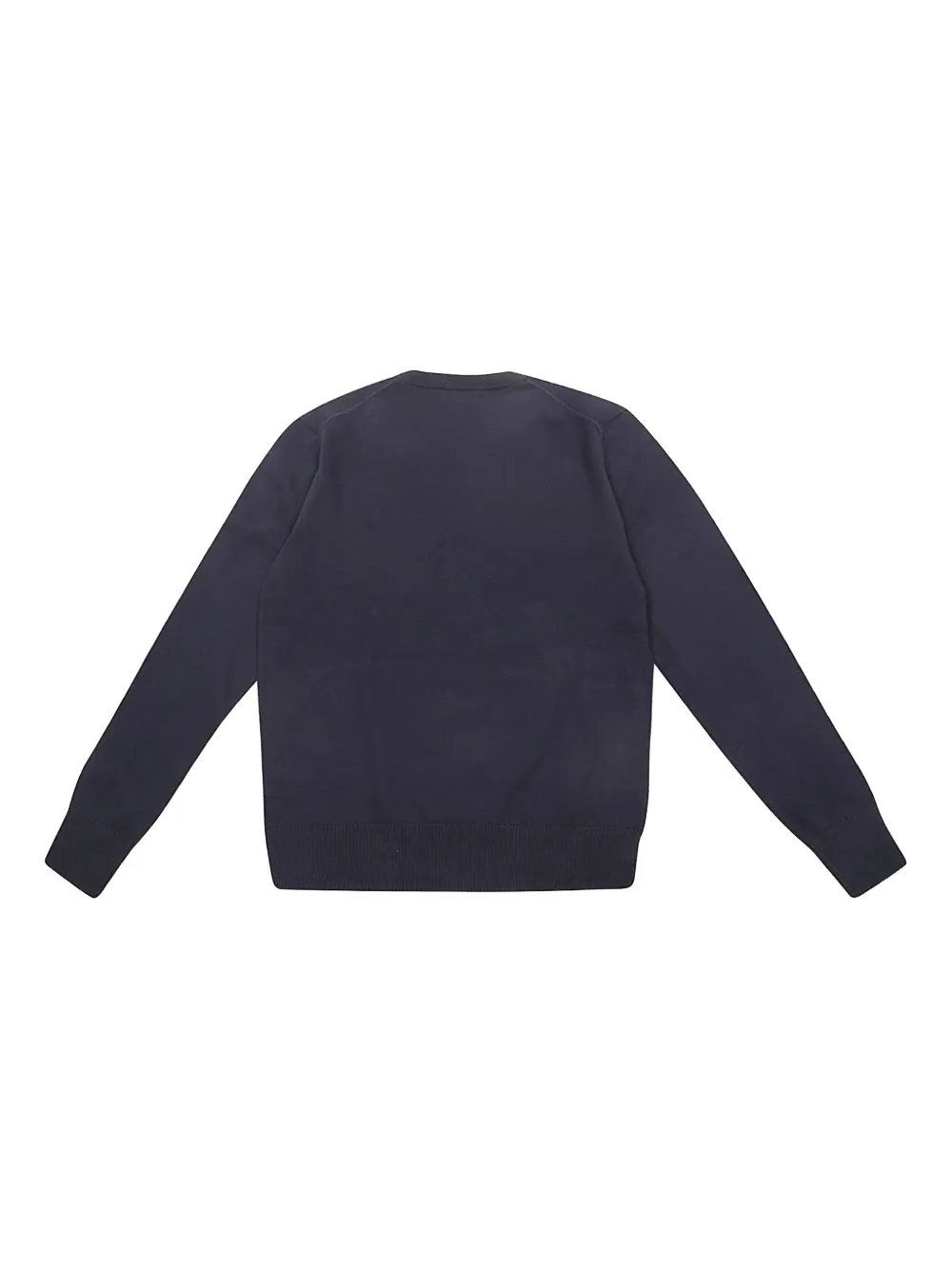 POLO RALPH LAUREN KIDS Sweater met Polo Pony print Blauw