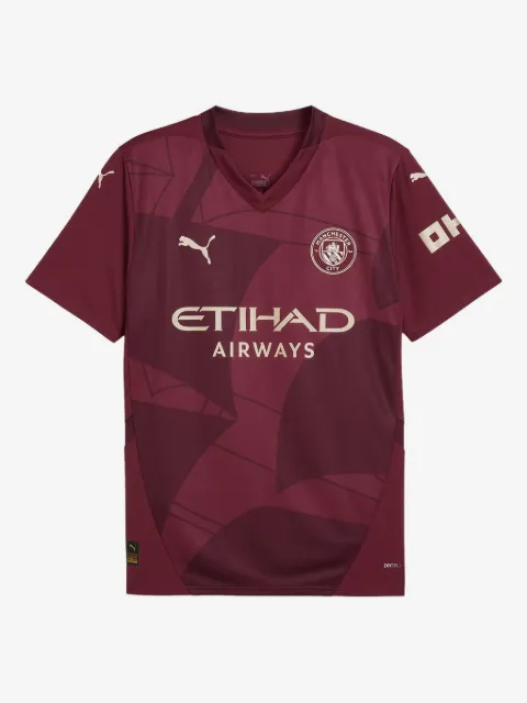 PUMA Manchester City 24/25 T-shirt