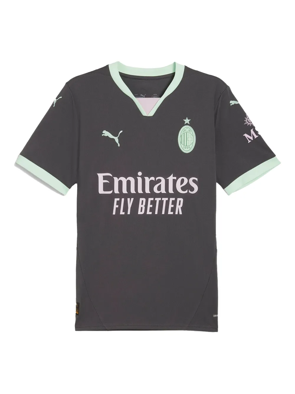 Puma Ac Milan 24/25 T-shirt In Gray